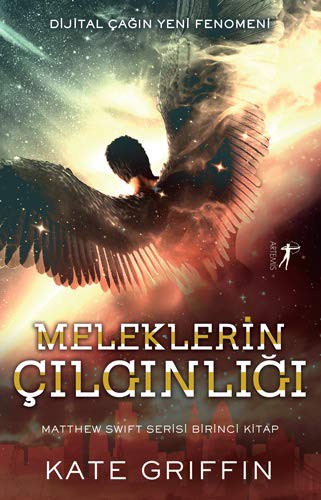 Meleklerin Cilginligi