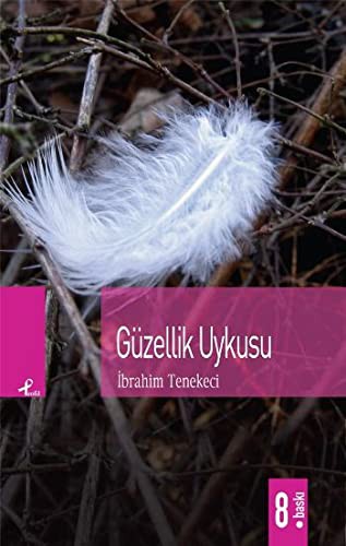 Güzellik Uykusu