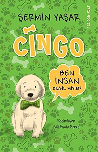 Cingo