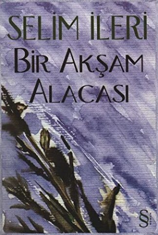 Bir akşam alacası