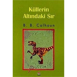 Küllerin Altindaki Sır