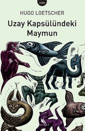 Uzay Kapsulundeki Maymun