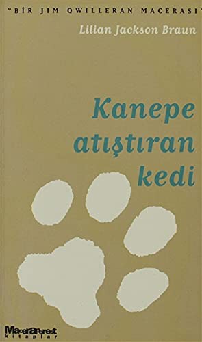 Kanepe Atıştıran Kedi