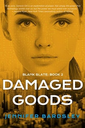 Damaged Goods (Blank Slate Book 2)