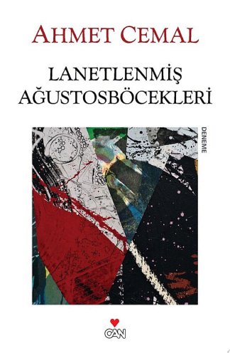 Açık düşman
