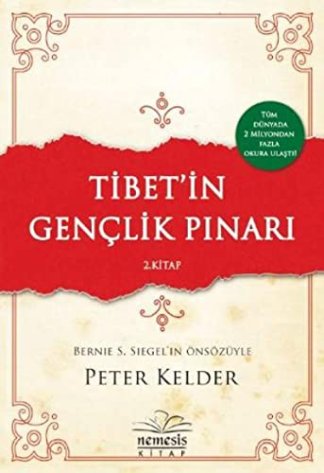 Tibet'in Gençlik Pinari 2. Kitap