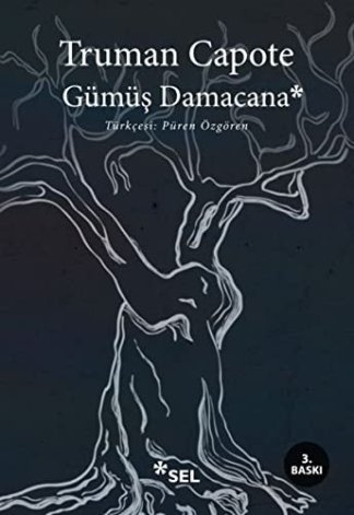 Gümüş Damacanası